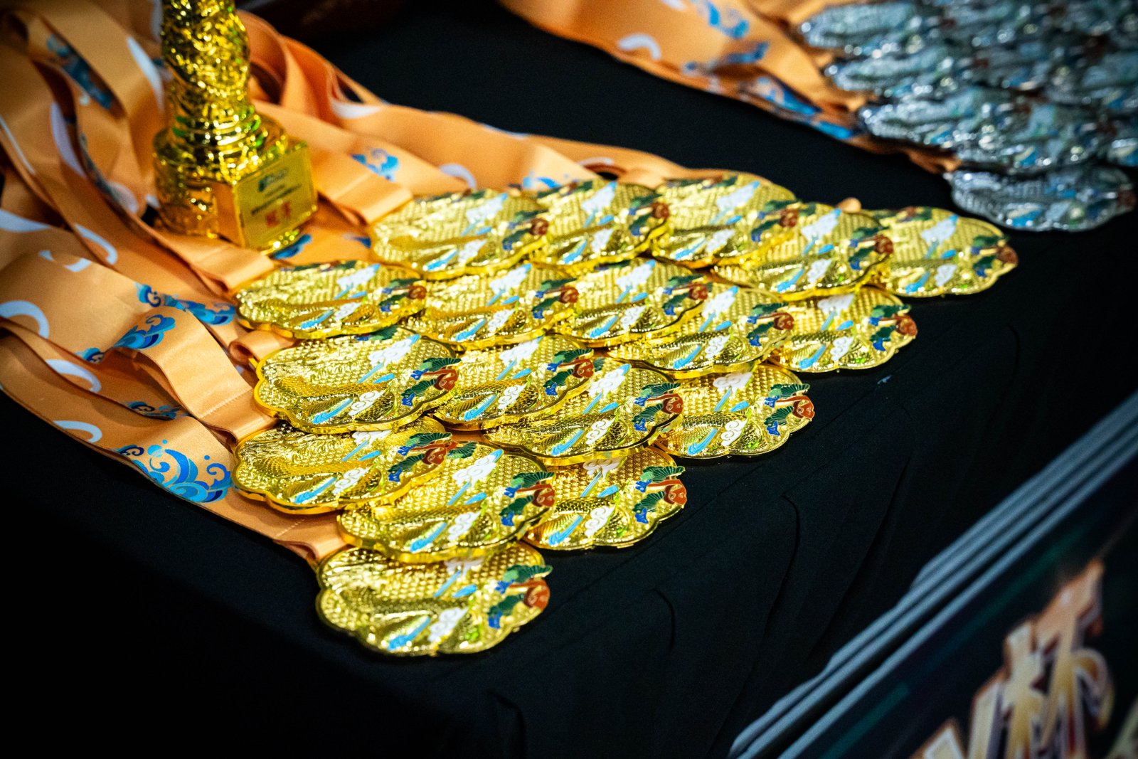 National Luminous Dragon Dance